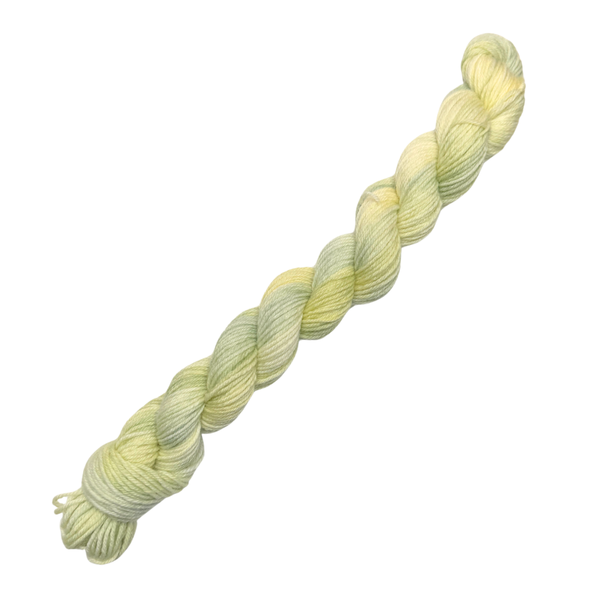Fairy Moss (wholesale)