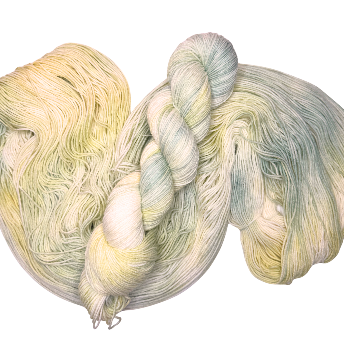 Fairy Moss (wholesale)