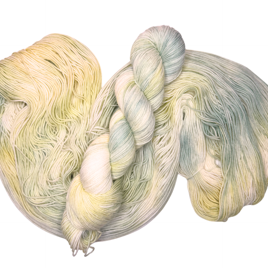 Fairy Moss (wholesale)